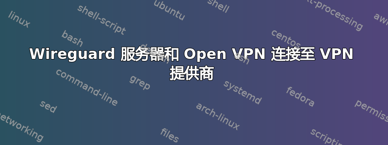 Wireguard 服务器和 Open VPN 连接至 VPN 提供商