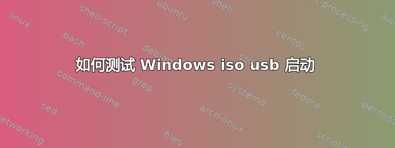 如何测试 Windows iso usb 启动