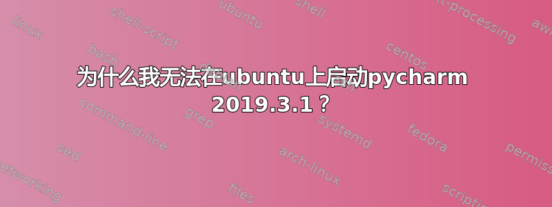 为什么我无法在ubuntu上启动pycharm 2019.3.1？