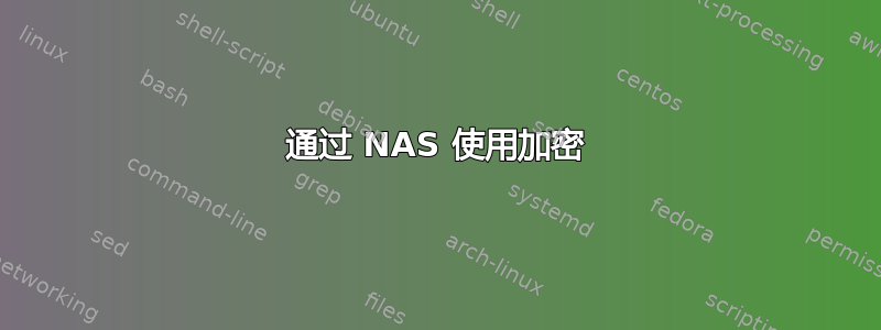 通过 NAS 使用加密