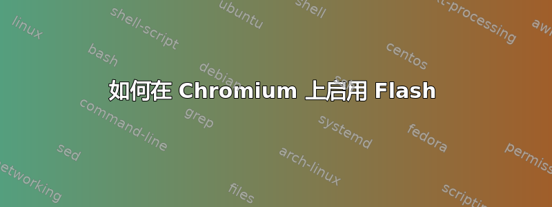 如何在 Chromium 上启用 Flash