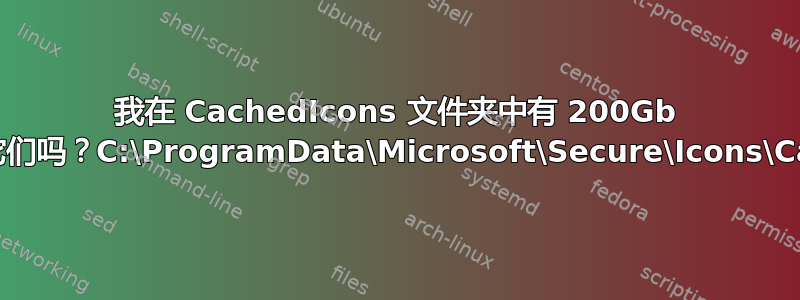 我在 CachedIcons 文件夹中有 200Gb 的文件。我可以删除它们吗？C:\ProgramData\Microsoft\Secure\Icons\CachedIcons\data\