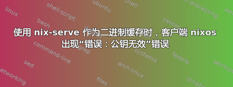 使用 nix-serve 作为二进制缓存时，客户端 nixos 出现“错误：公钥无效”错误