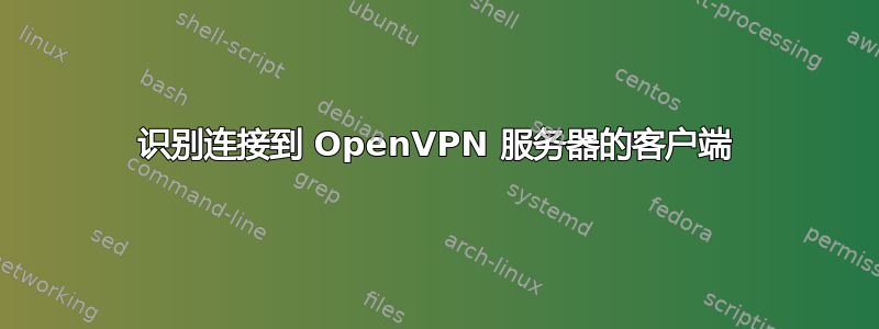 识别连接到 OpenVPN 服务器的客户端