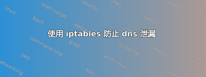 使用 iptables 防止 dns 泄漏