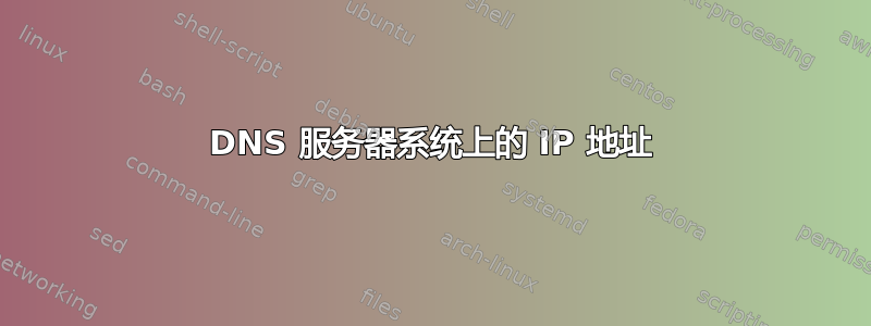 DNS 服务器系统上的 IP 地址