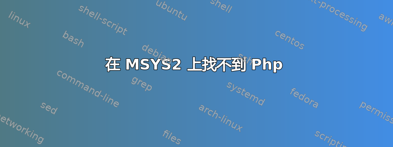 在 MSYS2 上找不到 Php