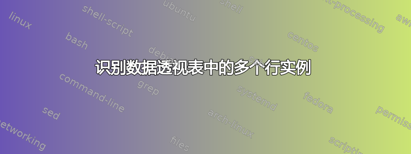 识别数据透视表中的多个行实例