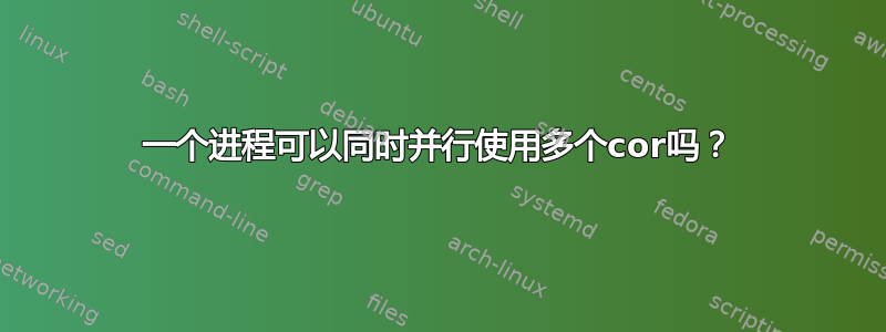 一个进程可以同时并行使用多个cor吗？