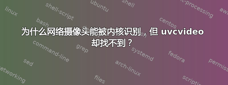 为什么网络摄像头能被内核识别，但 uvcvideo 却找不到？