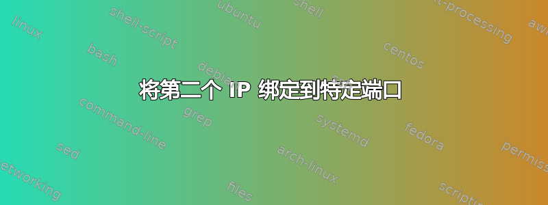 将第二个 IP 绑定到特定端口