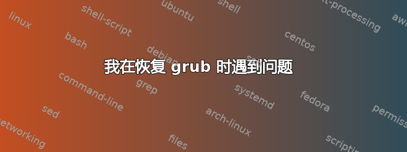 我在恢复 grub 时遇到问题 