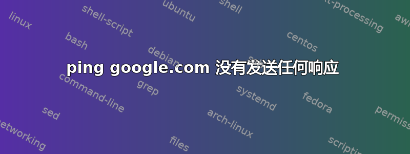 ping google.com 没有发送任何响应