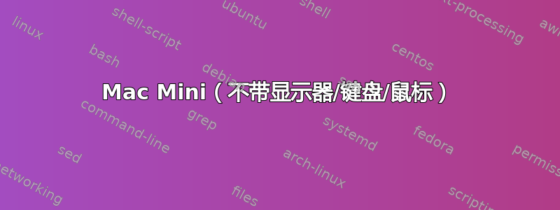 Mac Mini（不带显示器/键盘/鼠标）