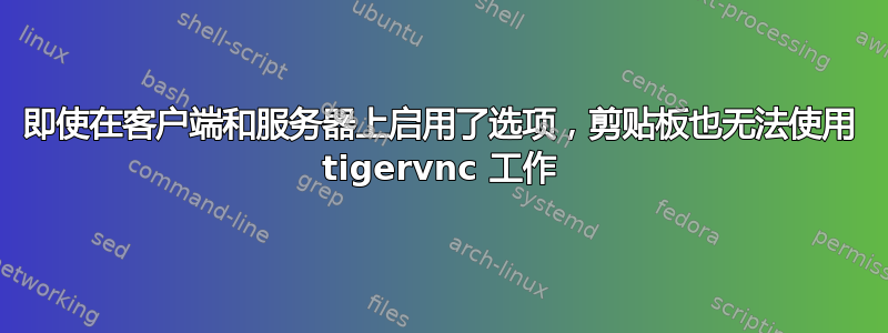 即使在客户端和服务器上启用了选项，剪贴板也无法使用 tigervnc 工作