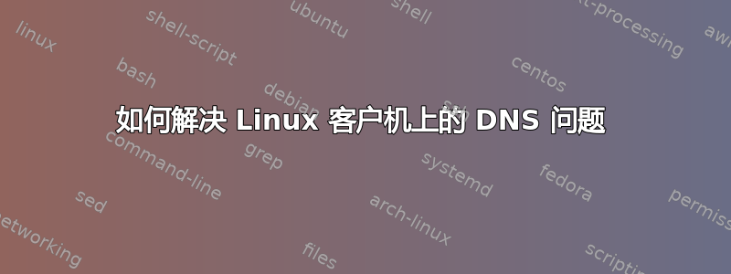 如何解决 Linux 客户机上的 DNS 问题