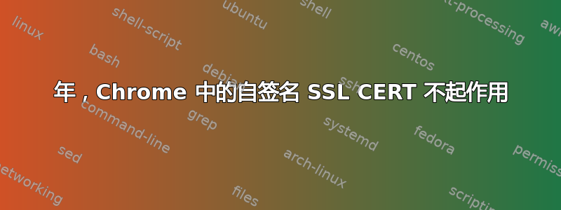 2020 年，Chrome 中的自签名 SSL CERT 不起作用