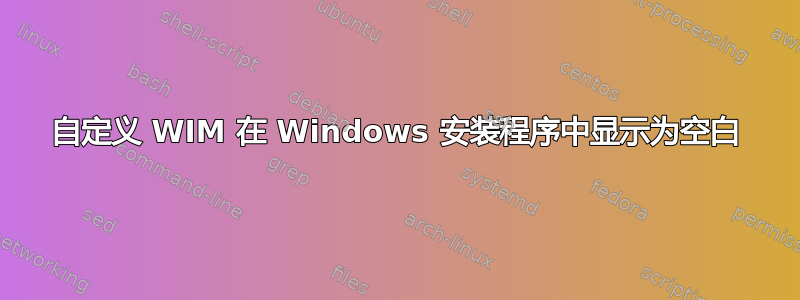 自定义 WIM 在 Windows 安装程序中显示为空白