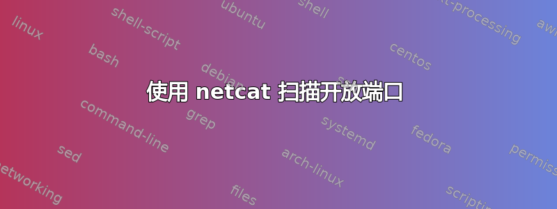 使用 netcat 扫描开放端口