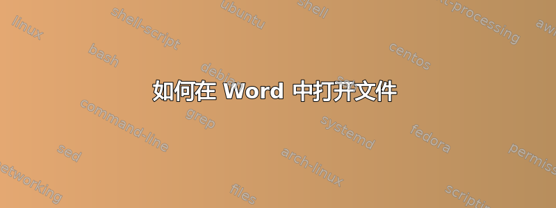 如何在 Word 中打开文件