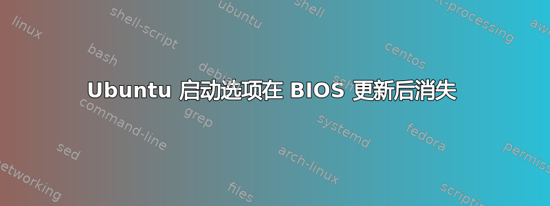 Ubuntu 启动选项在 BIOS 更新后消失