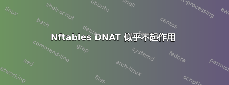 Nftables DNAT 似乎不起作用