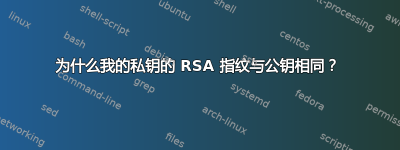 为什么我的私钥的 RSA 指纹与公钥相同？