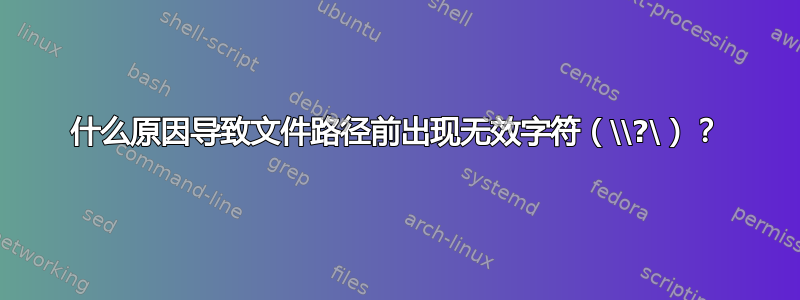 什么原因导致文件路径前出现无效字符（\\?\）？