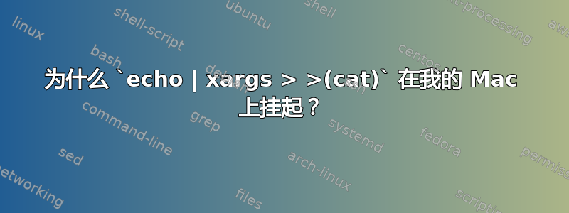 为什么 `echo | xargs > >(cat)` 在我的 Mac 上挂起？