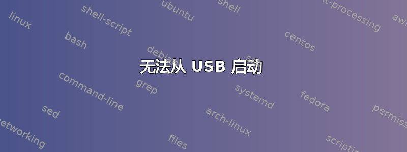 无法从 USB 启动