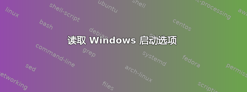 读取 Windows 启动选项