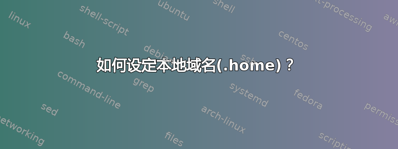 如何设定本地域名(.home)？