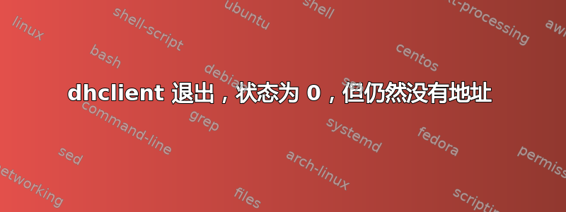 dhclient 退出，状态为 0，但仍然没有地址