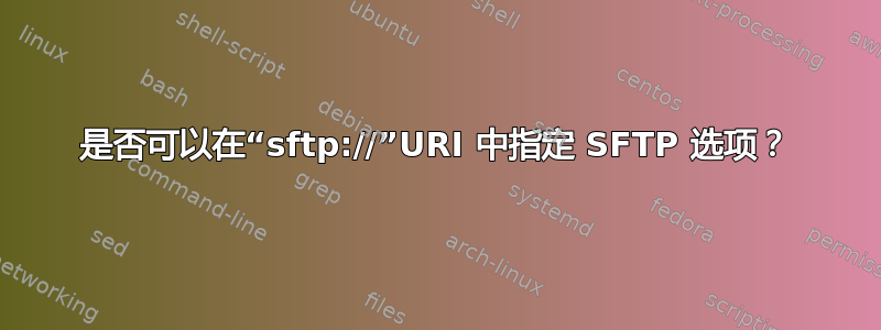 是否可以在“sftp://”URI 中指定 SFTP 选项？