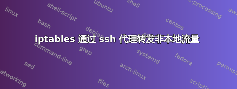 iptables 通过 ssh 代理转发非本地流量