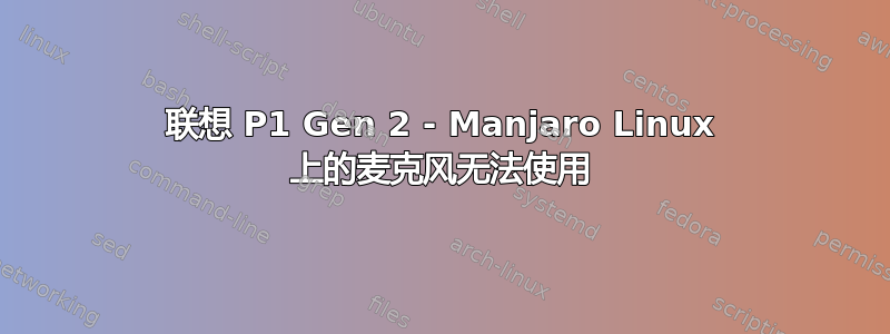 联想 P1 Gen 2 - Manjaro Linux 上的麦克风无法使用