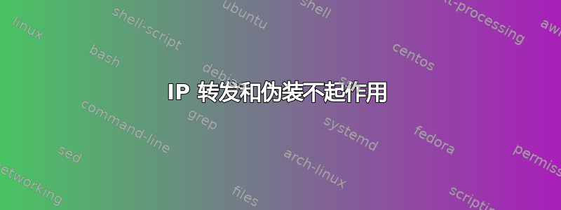 IP 转发和伪装不起作用