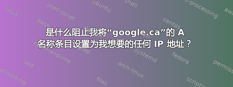 是什么阻止我将“google.ca”的 A 名称条目设置为我想要的任何 IP 地址？