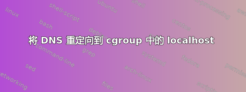 将 DNS 重定向到 cgroup 中的 localhost