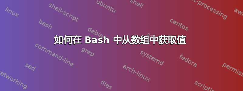 如何在 Bash 中从数组中获取值