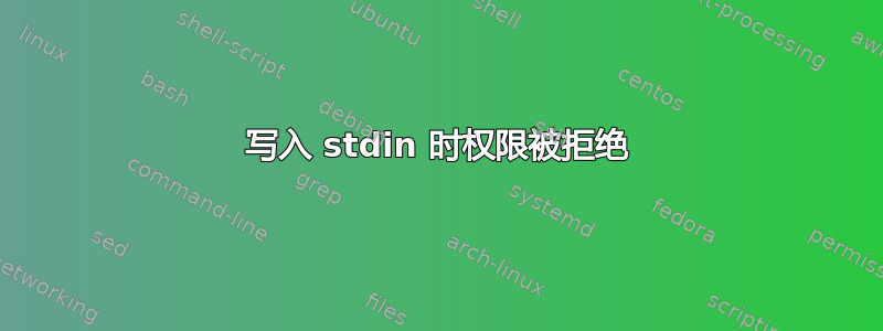 写入 stdin 时权限被拒绝