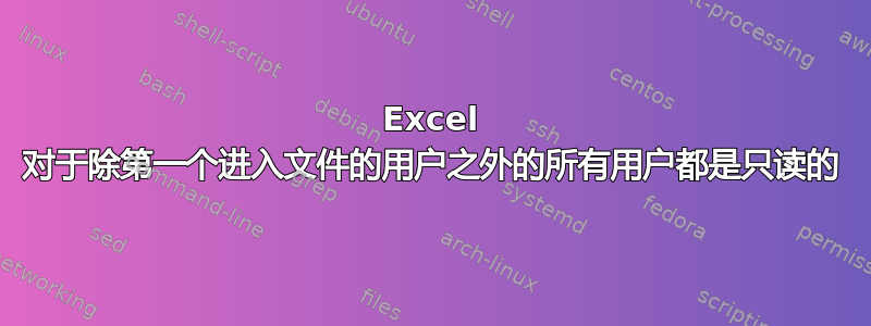 Excel 对于除第一个进入文件的用户之外的所有用户都是只读的