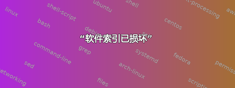 “软件索引已损坏”