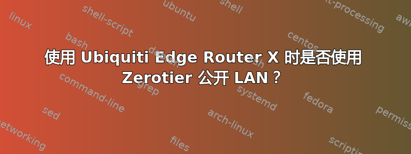 使用 Ubiquiti Edge Router X 时是否使用 Zerotier 公开 LAN？