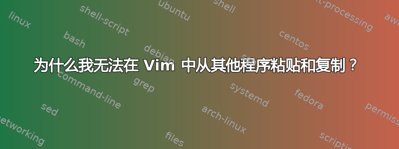 为什么我无法在 Vim 中从其他程序粘贴和复制？