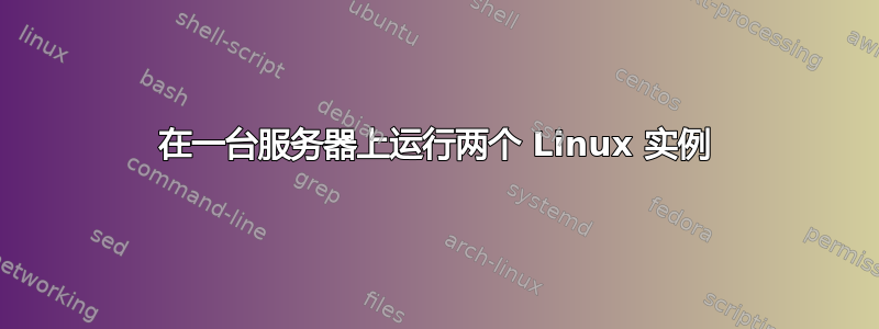 在一台服务器上运行两个 Linux 实例