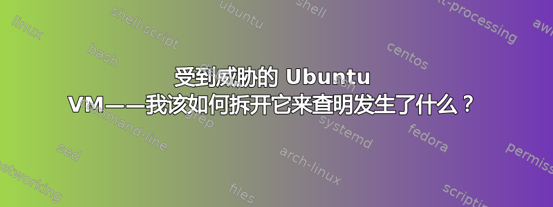 受到威胁的 Ubuntu VM——我该如何拆开它来查明发生了什么？