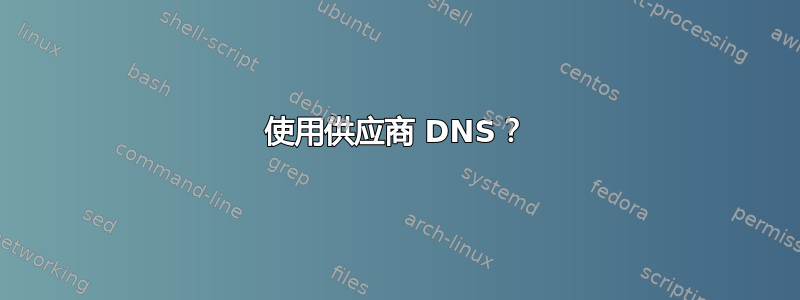 使用供应商 DNS？