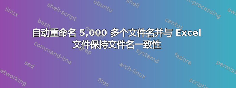 自动重命名 5,000 多个文件名并与 Excel 文件保持文件名一致性