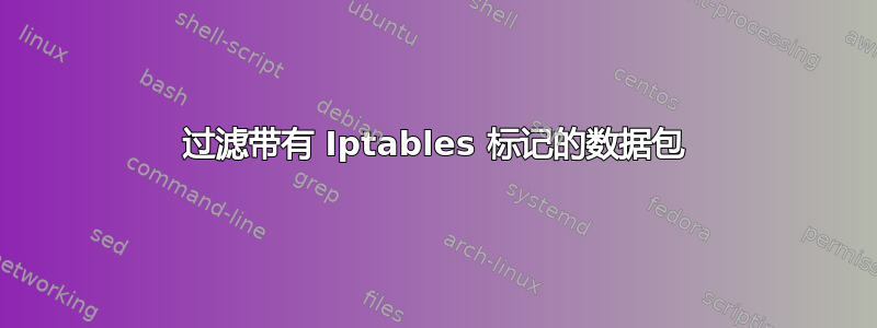 过滤带有 Iptables 标记的数据包